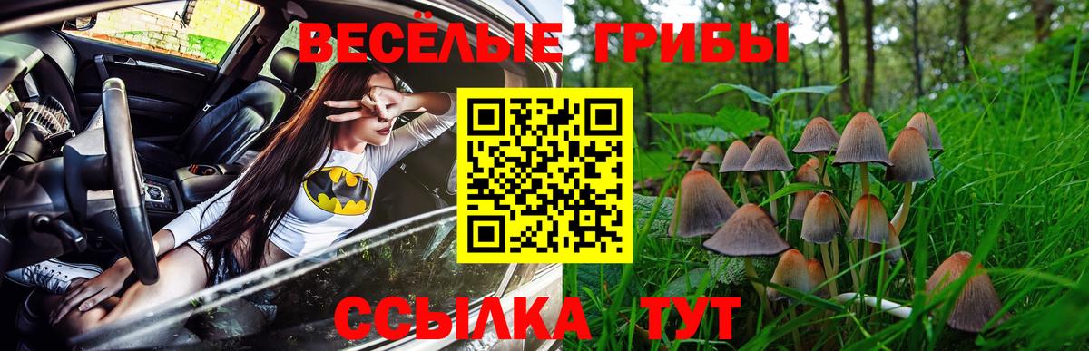 Псилоцибиновые грибы MAGIC MUSHROOMS Протвино