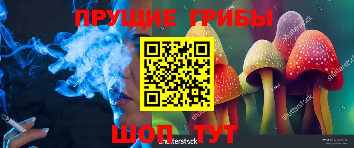 Галлюциногенные грибы ЛСД  Псилоцибиновые грибы Psilocybine cubensis  Протвино  Вход с VPN 