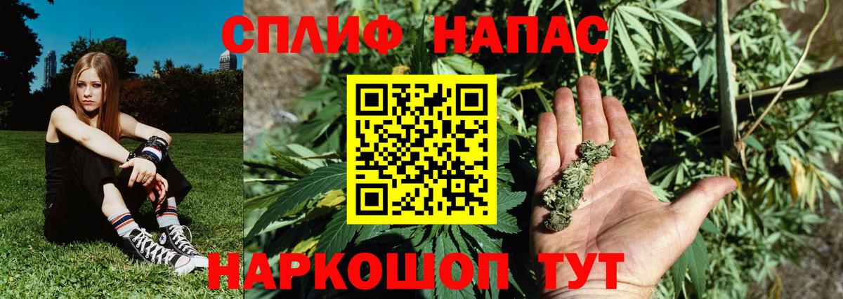 Шишки марихуана ГИДРОПОН Протвино